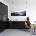 Denali National Park + Preserve // Alaska (36"W x 12"H x 0.75"D)