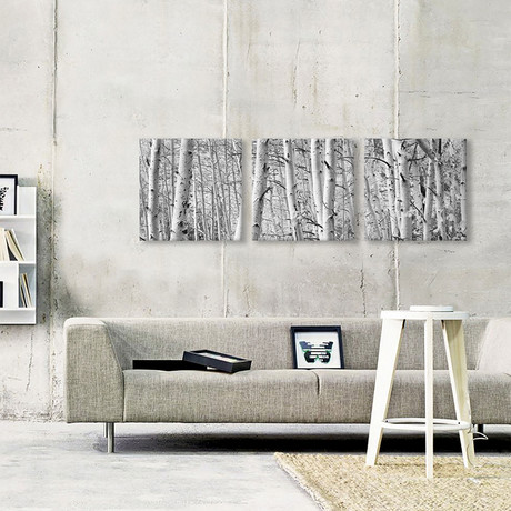 Rock Creek Lake // California (36"W x 12"H x 0.75"D)