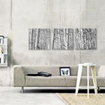 Rock Creek Lake // California (36"W x 12"H x 0.75"D)