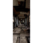 Burnt Out Railway Interior (30"L x 80"H)