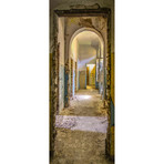 Old Architectural Doorways (30"L x 80"H)