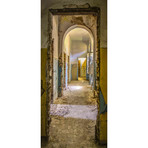 Old Architectural Doorways (30"L x 80"H)
