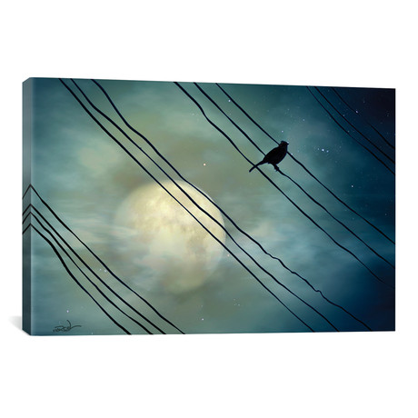 Pássaro ao Luar (Bird Moonlight) by Marcel Caram (40"W x 26"H x 1.5"D)