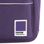 Pantone Mini Backpack (Tango Red)