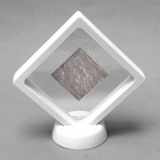 Muonionsalusta Meteorite Slice // White (30mm)