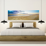 Sea Beach Sand (60"W x 20"H x 0.75"D)