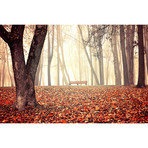 Autumn Bench (36"W x 24"H x 0.75"D)