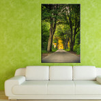 Path Through The Forest (36"W x 24"H x 0.75"D)