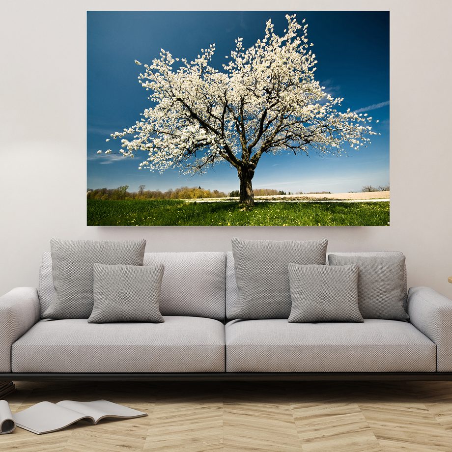 Light And Nature - Scenery On Canvas - Touch of Modern