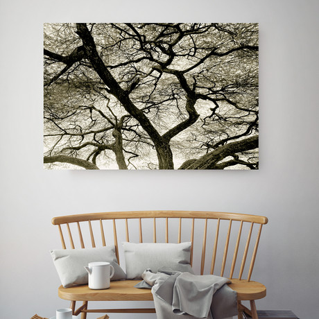 Branches (36"W x 24"H x 0.75"D)