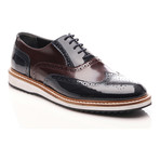 Patria Mardini // Two Tone Wingtip Oxford // Navy Blue + Bordeaux (Euro: 41)