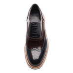 Patria Mardini // Two Tone Wingtip Oxford // Navy Blue + Bordeaux (Euro: 41)