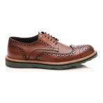 Baqietto // Perforated Wingtip Oxford // Brown (Euro: 41)