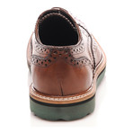Baqietto // Perforated Wingtip Oxford // Brown (Euro: 41)