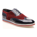 Partia Mardini // Two Tone Wingtip Oxford // Bordeaux + Navy (Euro: 43)