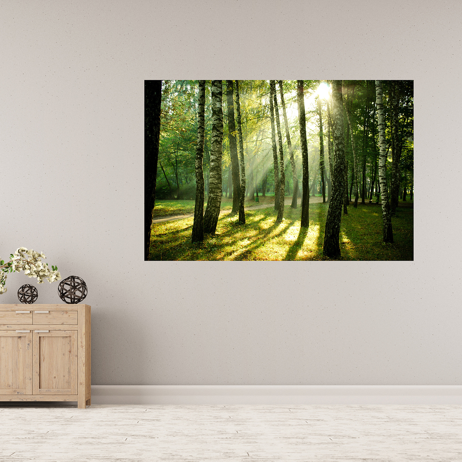 Light And Nature - Scenery On Canvas - Touch of Modern