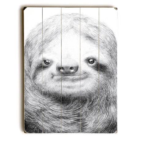 Sloth (14"W x 20"H x 1"D)