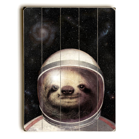 Space Sloth (14"W x 20"H x 1"D)