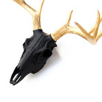 Deer Skull (Chrome)