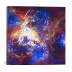 Tarantula Nebula // Spitzer Space Observatory // NASA (18"W x 18"H x 0.75"D)