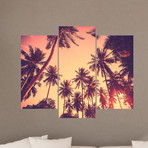 Sunset Between Palm Trees