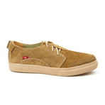 Anbesso Suede Low-Top Sneaker // Tan (US: 11)