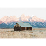 Jackson Hole Living I (26"W x 18"H x .75"D)
