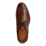 Manchester Leather Shoe // Dark Brown (EUR: 40)