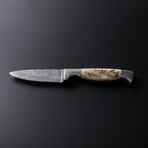 Texan Utility Knife (Bone)