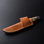 Texan Utility Knife (Bone)