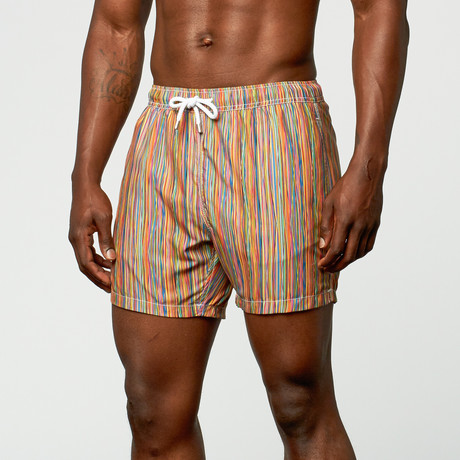 BERTIGO // Striped Swim Short // Multi (2XL)