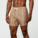 BERTIGO // Striped Swim Short // Multi (2XL)
