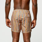 BERTIGO // Striped Swim Short // Multi (2XL)