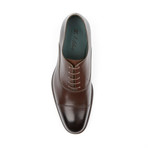 The Shaker Oxford // Brown (Euro: 45)