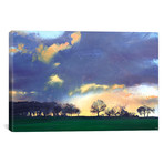 Rocombe (18"W x 26"H x 0.75"D)