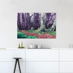 Red And Blue IV (18"W x 26"H x 0.75"D)