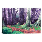 Red And Blue IV (18"W x 26"H x 0.75"D)