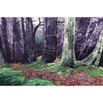 Red And Blue IV (18"W x 26"H x 0.75"D)