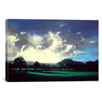 Pointing Home (18"W x 26"H x 0.75"D)