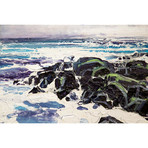 Iona Rocks I (18"W x 26"H x 0.75"D)