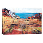 Iona XIV (18"W x 26"H x 0.75"D)