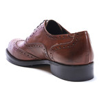 Wing-Tip Oxford // Brown (Euro: 46)