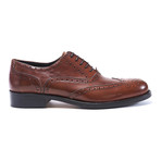 Wing-Tip Oxford // Brown (Euro: 46)