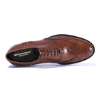 Wing-Tip Oxford // Brown (Euro: 46)