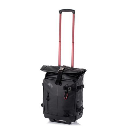 Dolphin 2-Way Carry-On