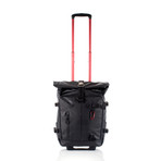 Dolphin 2-Way Carry-On