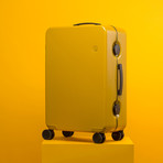 GINKGO // Mustard Pattern (20")