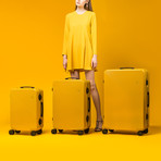 GINKGO // Mustard Pattern (20")