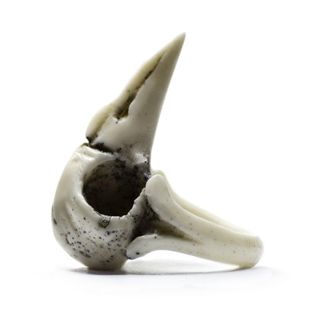 Raven Skull Ring // White (Size 5)