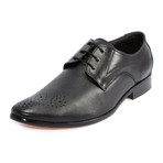 Belvoir Classic Oxford // Black (UK: 11)